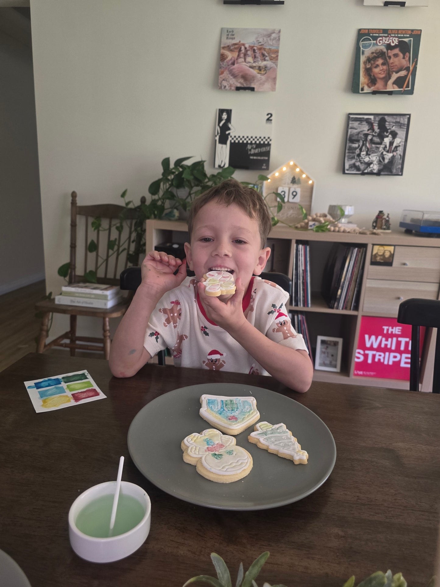 Paint your own Christmas Cookies