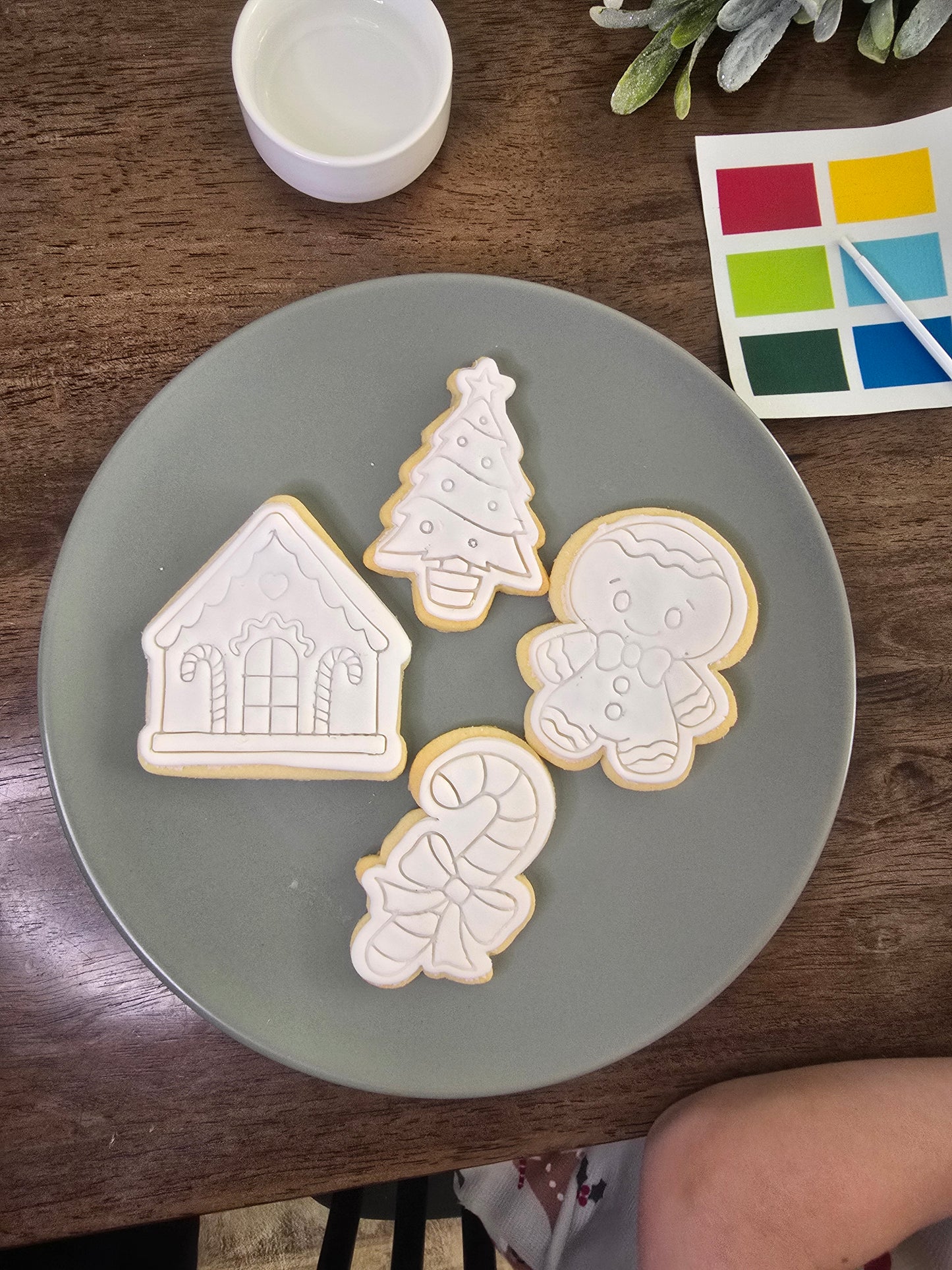 Paint your own Christmas Cookies